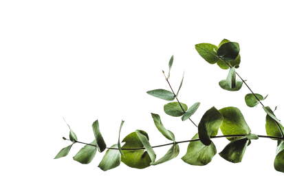 Листья справа